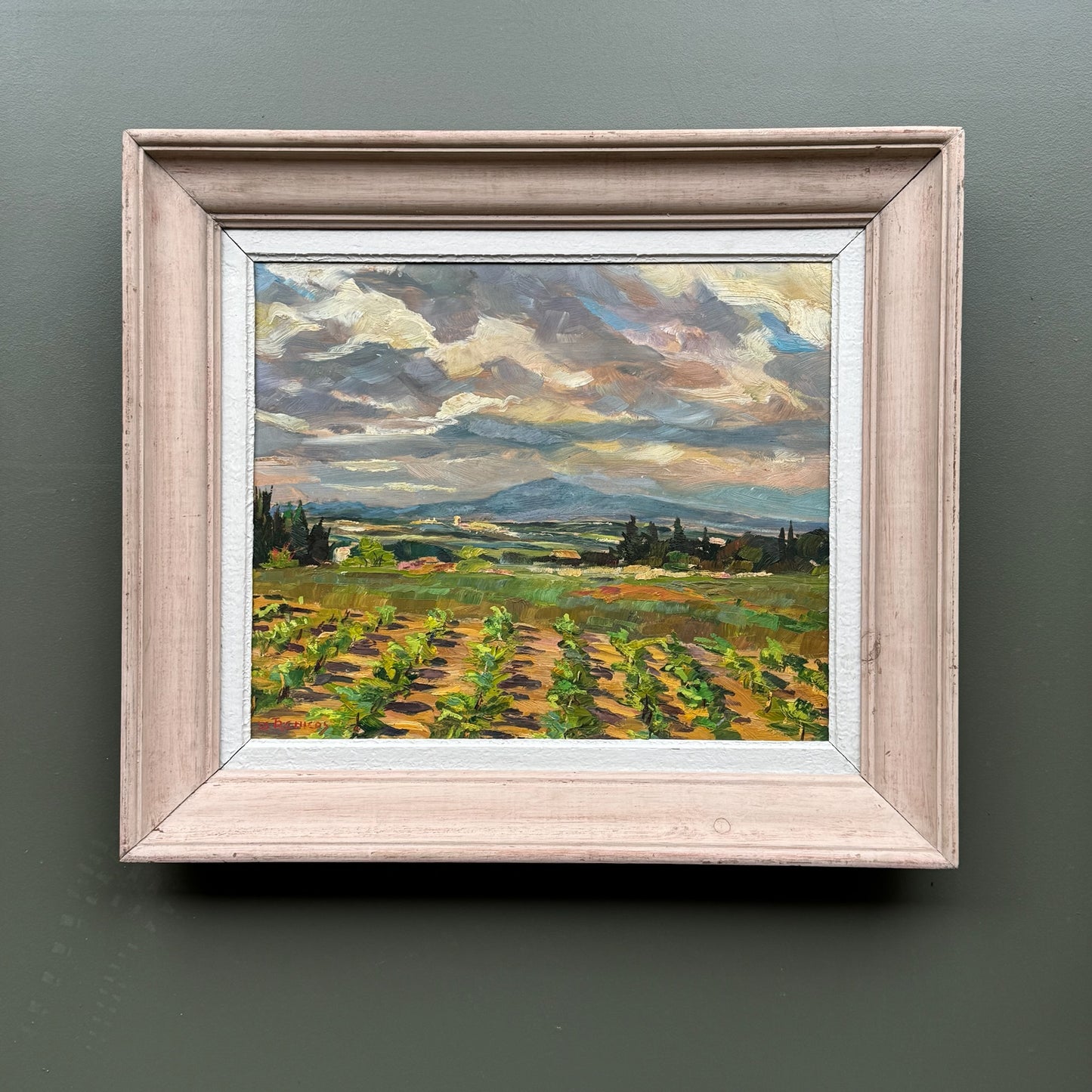 181 Vineyard