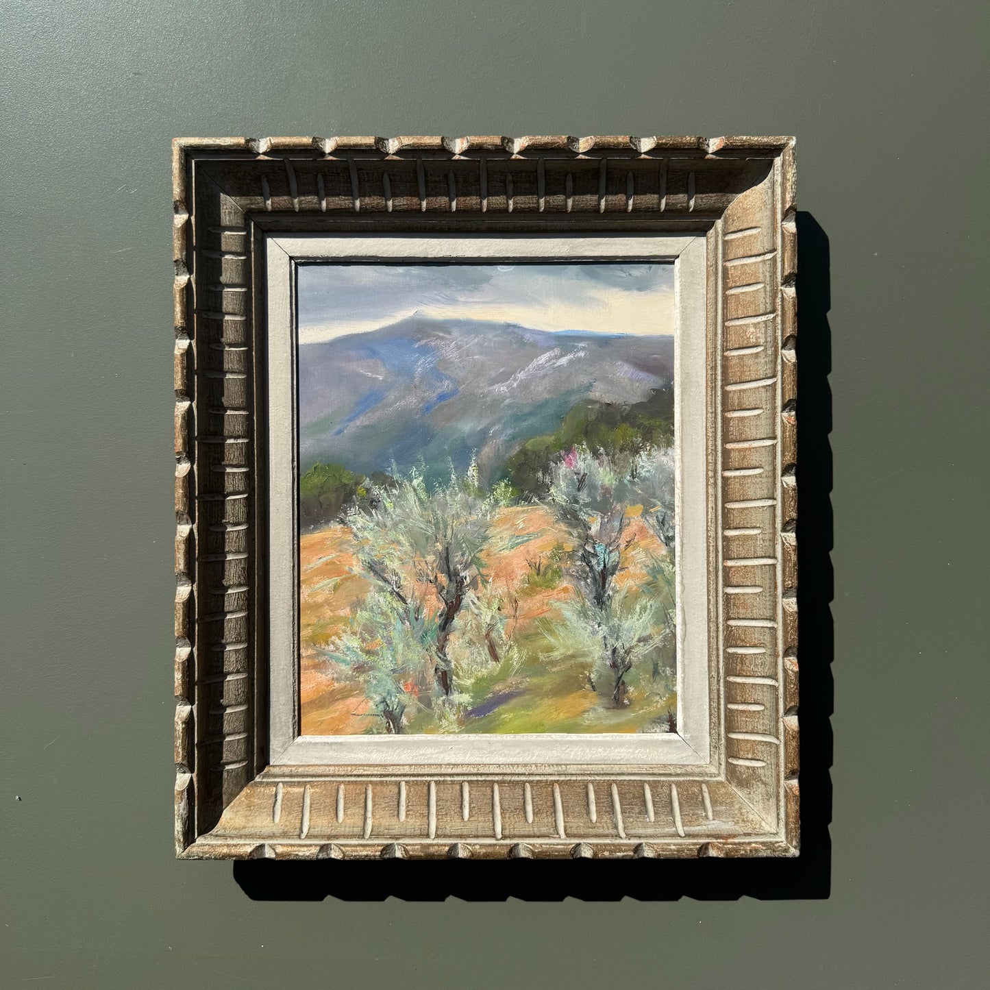 336 Olive Groves